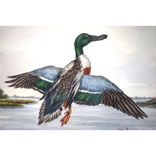 Mid 20th Century Three Ducks in Flight Over Marsh Ex- c.z. Guest Estate For Sale - Image 4 of 5