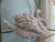 Ceramic Vintage Large Ceramic Swan For Sale - Image 7 of 10