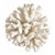 Nautical White Coral on Lucite Base For Sale - Image 3 of 6