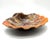 Mid-Century Shell Bowl from Vallauris, 1960s-1970s For Sale - Image 9 of 16