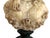 19th-Century Italian Alabaster Bust, Likely of the “Song of Solomon’s” Shulamite For Sale - Image 10 of 12