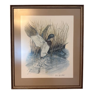 20th Century Naturalist Duck and Turtle on Water, a Signed Lithograph Print For Sale