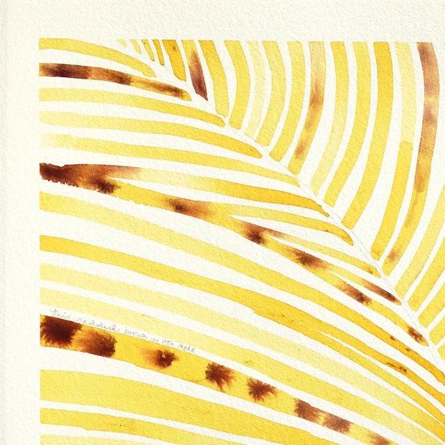 Heidi Lowell’s original watercolor paintings brings a quiet, botanical elegance to the page. Soft washes form the delicate...