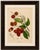 Title: Original Antique Rambutan Botanical Chromolithograph by Hoola van Nooten, 1880 : An original antique botanical...