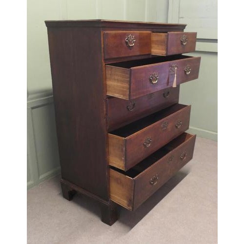Georgian Six Drawer Oak Chest of Drawers, 1800 For Sale - Image 8 of 9