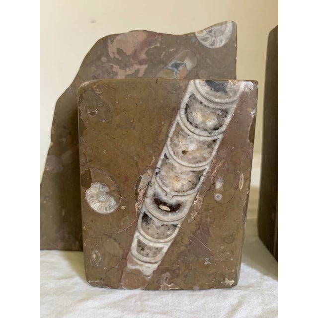 Vintage natural limestone with fossils pair of bookends. Originally from Colorado.