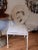 Mid 20th Century Iron Palm Beach RegencyRegency Upholstered Seat Chair For Sale - Image 4 of 10