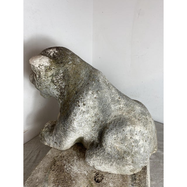 Antique Reclining Lion Sculpture on Base in Carved Stone, 1890s For Sale - Image 3 of 18