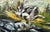 Animal Composition, Oil Painting on Canvas For Sale - Image 6 of 13