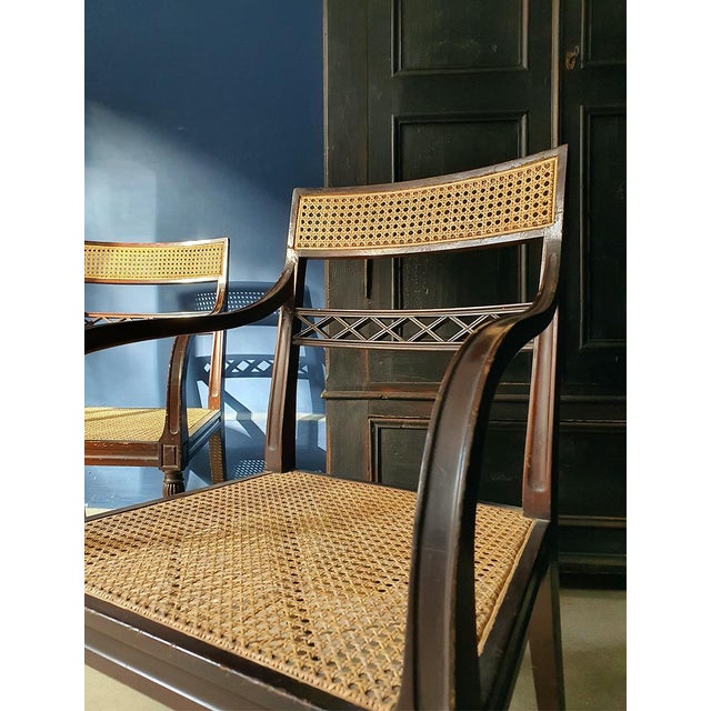Brown Regency Mahogany and Cane Armchairs, England, 19th Century, Set of 2 For Sale - Image 8 of 10