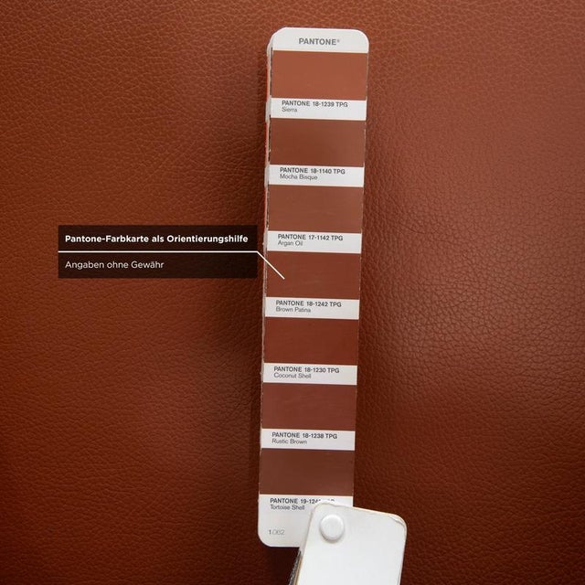 Luno Chairs in Brown Leather from Bert Plantagie, Set of 4 For Sale - Image 11 of 18