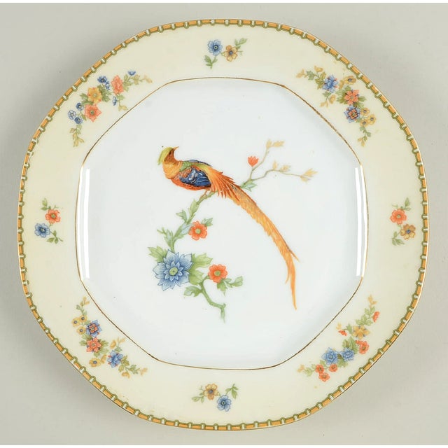 Vintage Mixed Bird Dinner Plates Set of 8 Chairish