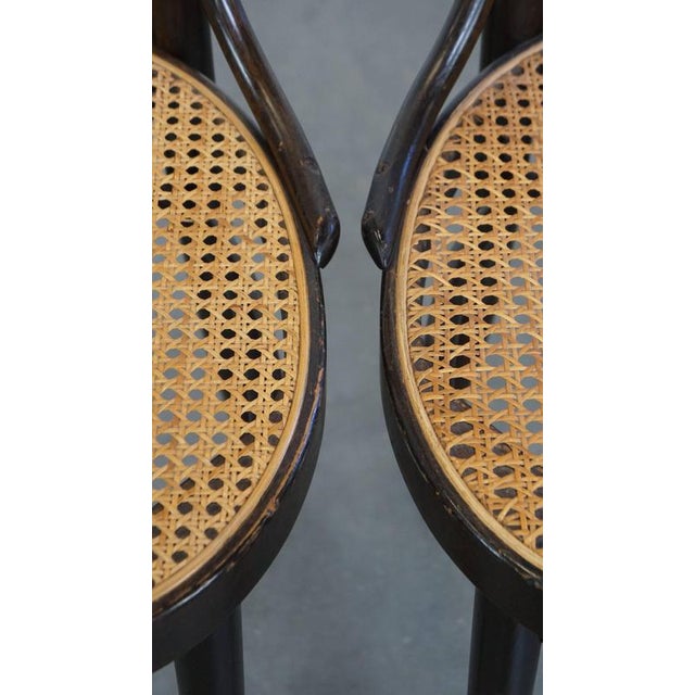 Beige Set of Vintage Bentwood Dining Room Chairs by Michael Thonet For Sale - Image 8 of 13
