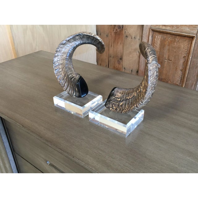 Hollywood Regency Late 20th Century Faux Ram Horns - a Pair For Sale - Image 3 of 8
