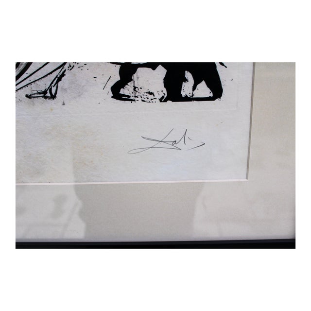 1970s S. Dali, Angel of Dada, 1971, Lithograph, Framed For Sale - Image 5 of 9