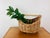 Rustic Vintage Rustic Boho Woven Wicker Reed Bamboo Handle Gathering Bread Basket For Sale - Image 3 of 9