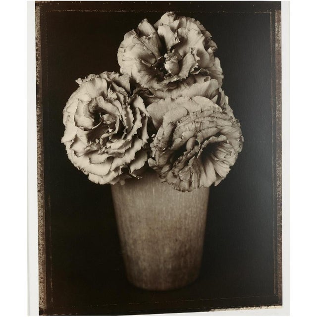 Tom Baril, Large Format Vintage Floral Black & White Silver Gelatin Photograph Tom Baril, 1997 For Sale