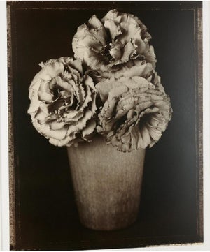 Tom Baril, Large Format Vintage Floral Black & White Silver Gelatin Photograph Tom Baril, 1997
