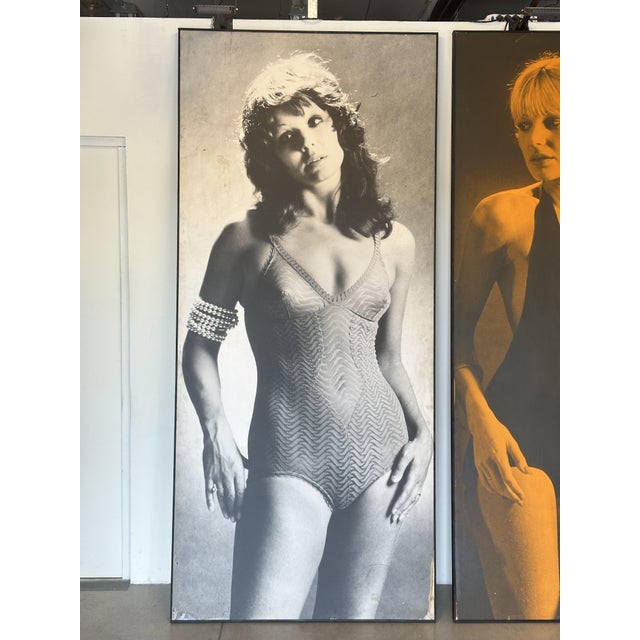 Vintage Framed Photo Posters, 1970s, Set of 4 For Sale - Image 17 of 18