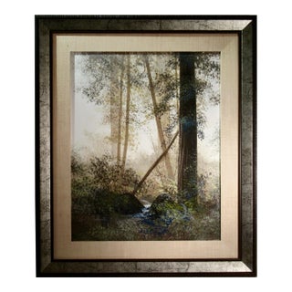 Juan Archuleta Forest Bright, Humbolt C. 1980 Painting For Sale