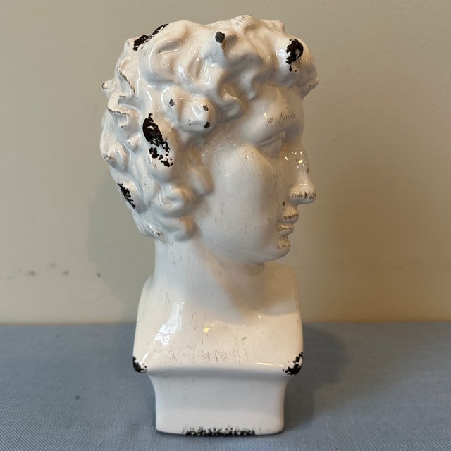 Italian Mid 20th Century Ceramic Statue of David Bust Planter For Sale - Image 3 of 10