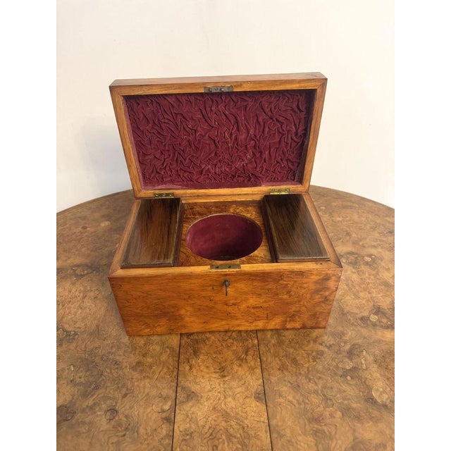 Early 19th Century Large Antique Regency Walnut Tea Caddy, 1820 For Sale - Image 5 of 7