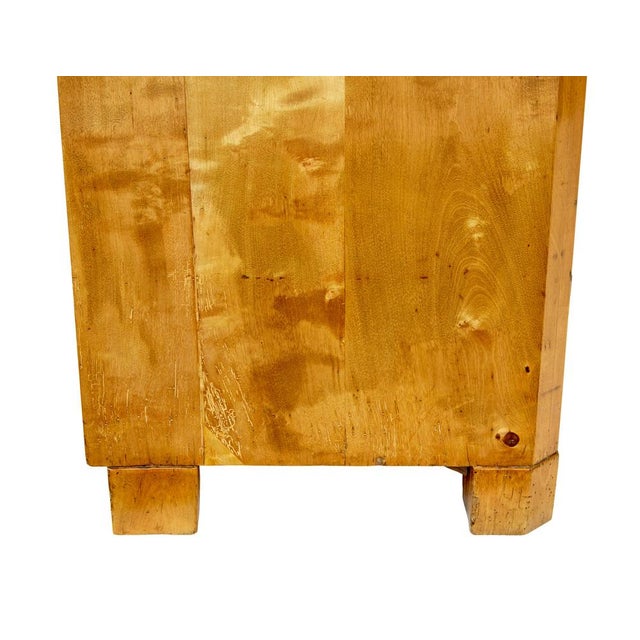 19th Century Swedish Tiger Birch Cupboard, 1870 For Sale - Image 10 of 12