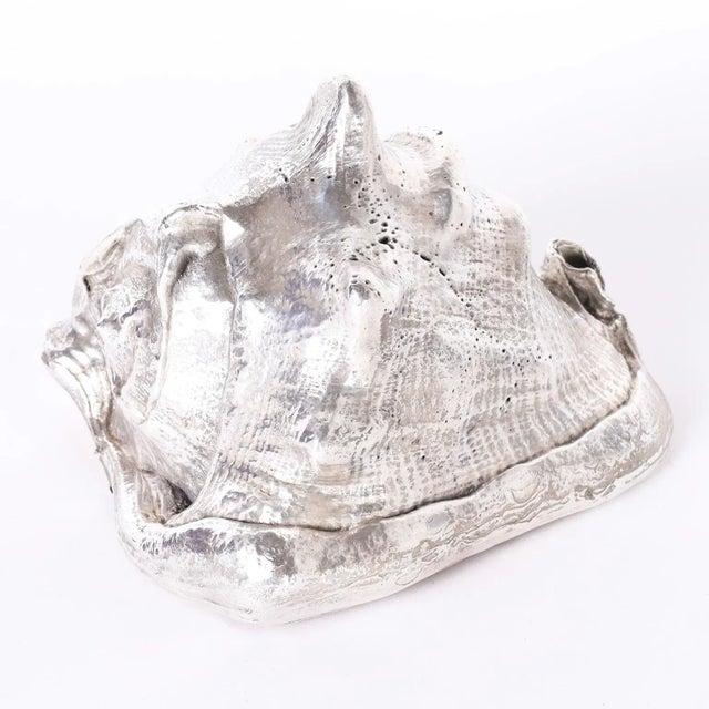 Silvered Metal Plated Seashell For Sale - Image 4 of 4