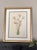 Vintage Botanical Prints Framed - Set of 6- Authentic Vintage 1953 Prints For Sale - Image 4 of 7