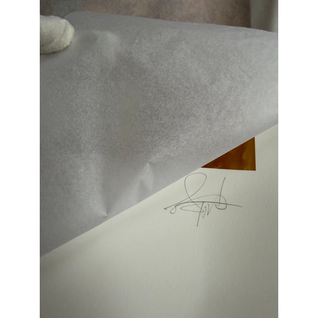 Gideon Appah, Red Sun (2023), Numbered 17/75 and Hand-Signed by the Artist, Printed in London, Uk For Sale - Image 12 of 13