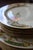 Ivory 1920s Hass & Czjzek Crown Imperial Czech Porcelain Plates, Set of 11 For Sale - Image 8 of 18