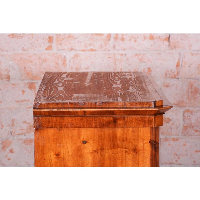 Brown Biedermeier Cabinet in Walnut, Austria, 1830s For Sale - Image 8 of 18