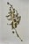 Dark Green Set of 6 - One-of-a-Kind Dark Green & Cream Botanical Organic Modern Original Oil Paintings / Contemporary Herbarium / Floral / Earth Tones For Sale - Image 8 of 18