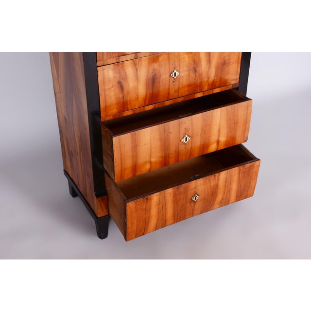 Biedermeier Cherrywood Shelf, Austria, 1810s For Sale - Image 5 of 16
