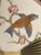 Late 19th Century Wedgwood Bird & Fan Plate, C. 1870's For Sale - Image 5 of 10