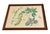 2000 - 2009 Pair of Vintage Framed Botanical & Entomological Illustration Prints For Sale - Image 5 of 12