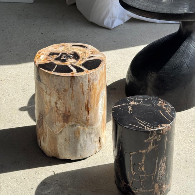 Stone Petrified Wood Side Table For Sale - Image 7 of 18