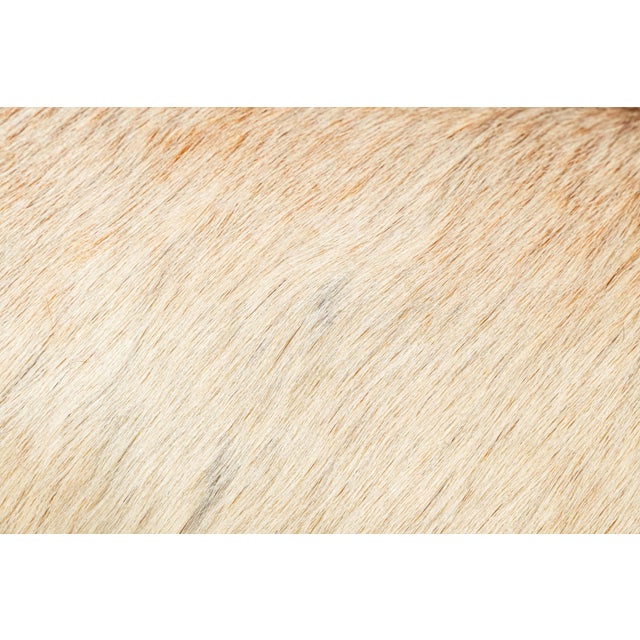 Pair Small Vintage White Brown Cowhide Accent Throw Pillow Western Home Decor For Sale - Image 4 of 12