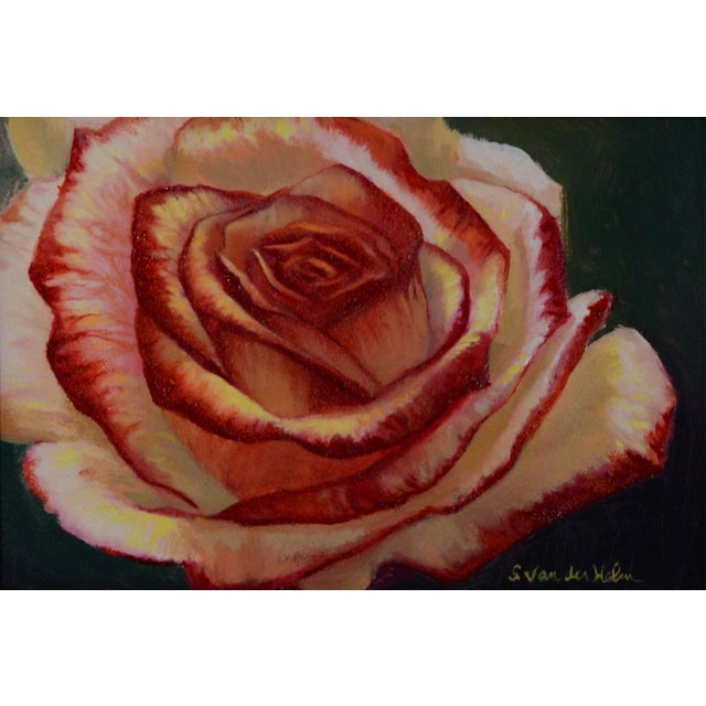 This oil painting captures a single rose in vibrant shades of red and cream, emphasizing the delicate folds of its petals....