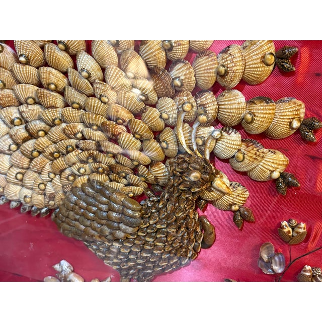 1960s-70s handmade peacock shell collage in red-back shadowbox, wood frame & glass front. Some minor surface wear to wood...