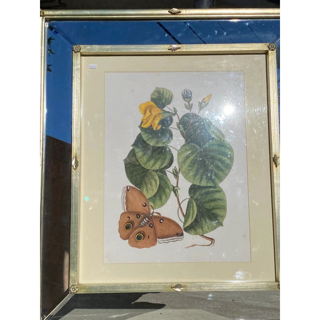 Contemporary Beveled Mirrored Inset Picture Frames - Set of 2 For Sale - Image 3 of 13