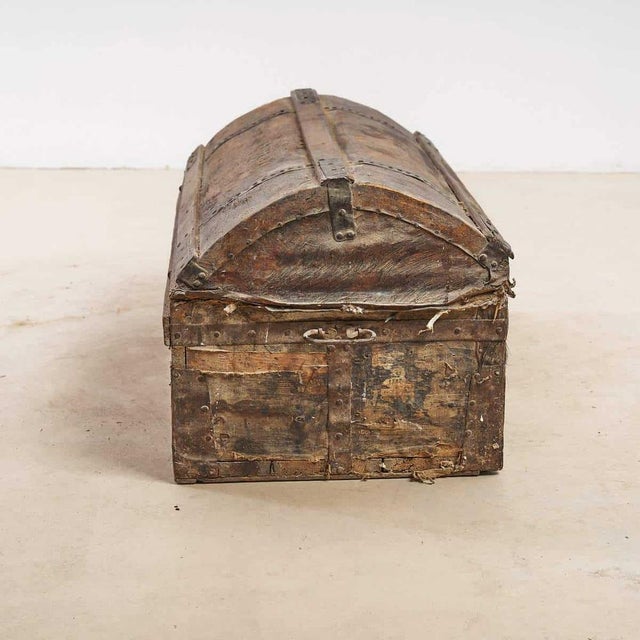 Trunk with Wild Boar Skin For Sale - Image 3 of 10