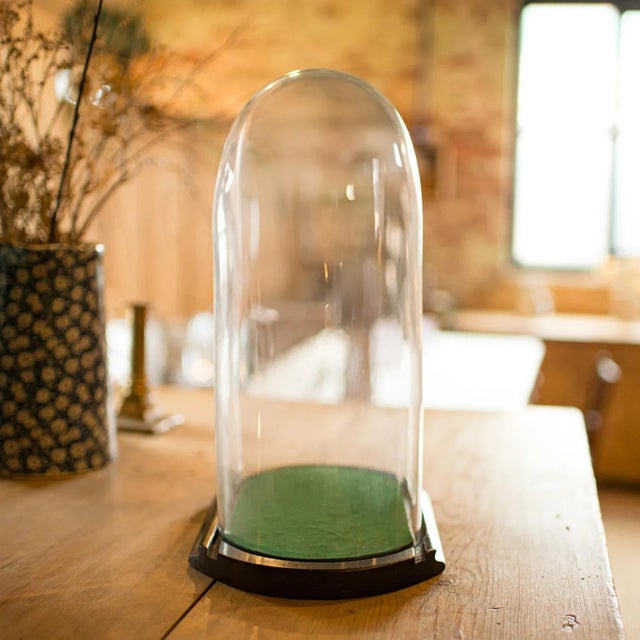 1890's Antique Ovoid Display Dome For Sale - Image 6 of 8