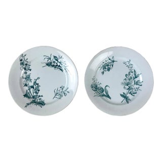 Antique Italian Botanical Plates | s.c.r. Linneo Green Transferware Set (20cm) For Sale