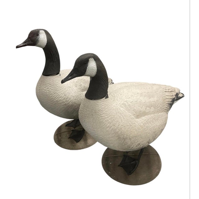 Add a touch of classic sporting charm to your space with this handsome pair of Canada Goose figures. Crafted from durable...