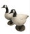 Add a touch of classic sporting charm to your space with this handsome pair of Canada Goose figures. Crafted from durable...