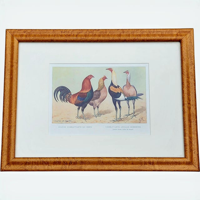 French Country Antique 1920s P. Mahler French Poultry Prints, Framed Set of 3 For Sale - Image 3 of 8