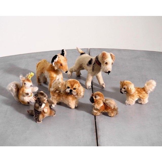 Steiff Teddy Bears, 20th Century, Set of 7 For Sale - Image 4 of 4
