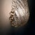 1950s Single Leaf Sconce in Pulegoso Glass with Gold Accents attributed to Barovier & Toso, 1950s For Sale - Image 5 of 18