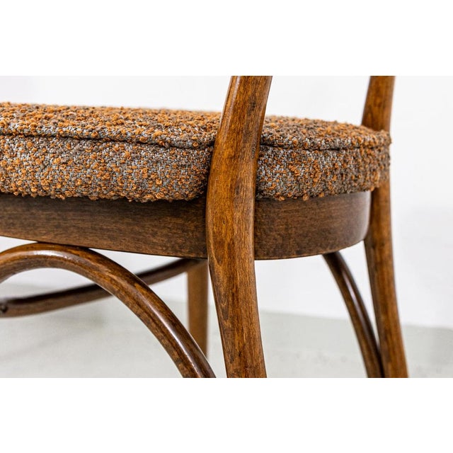 Model No. 124 Chairs attributed to Helena & Jerzy Kurmanowicz, Poland, 1960s, Set of 6 For Sale - Image 18 of 18